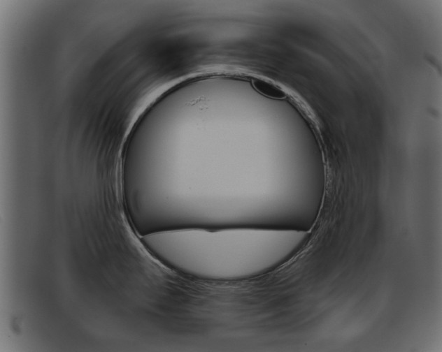 X0000093361295200710111301