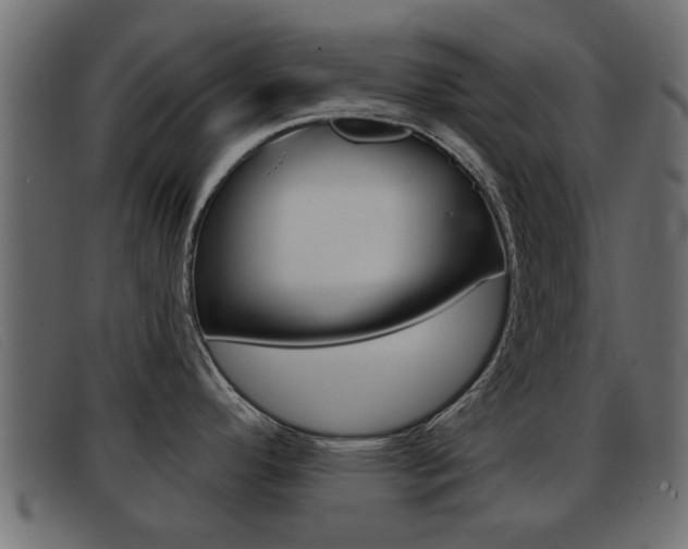X0000093361296200710111301