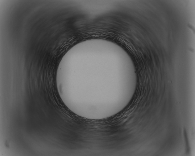 X0000093361298200710111301