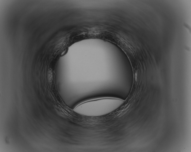 X0000093361299200710111301