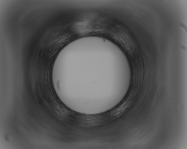 X0000093361300200710111301
