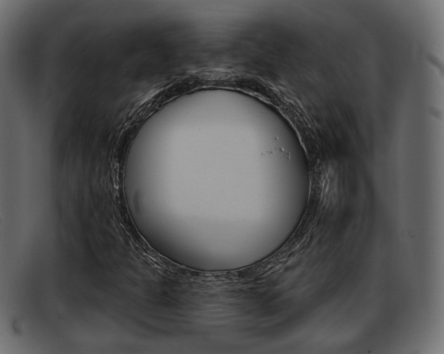 X0000093361301200710111301