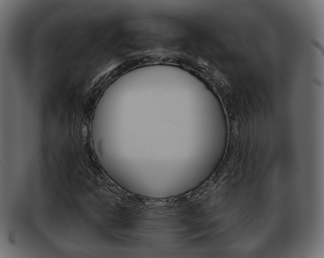 X0000093361302200710111301