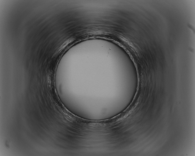 X0000093361305200710111301