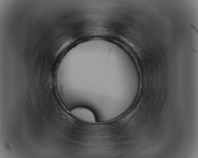 X0000093361306200710111301