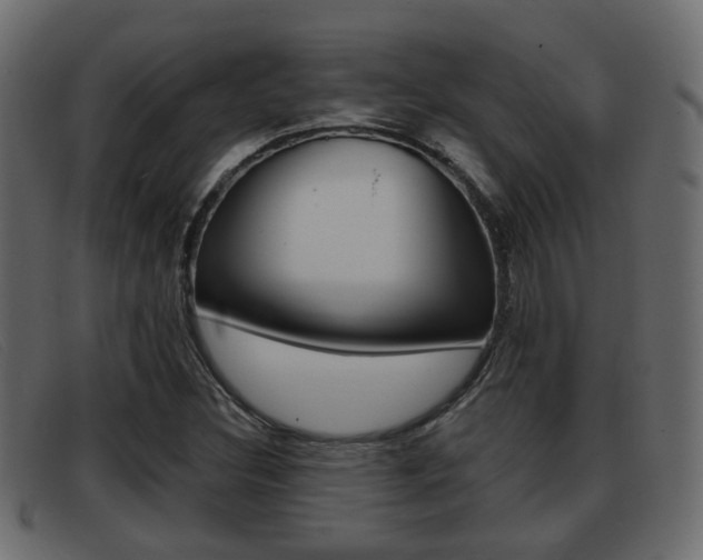 X0000093361308200710111301