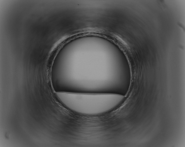 X0000093361310200710111301