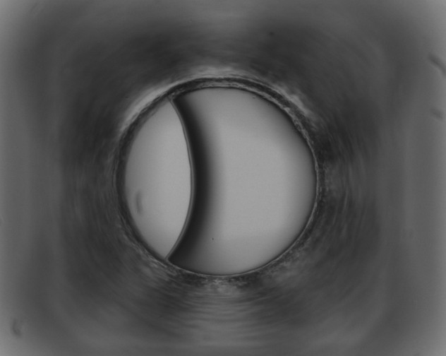 X0000093361311200710111301