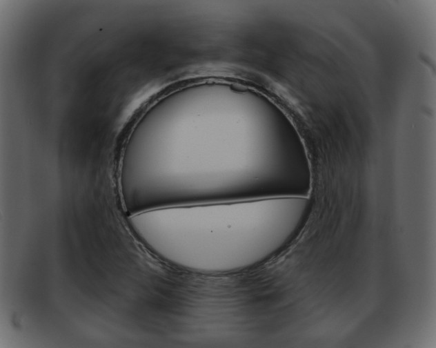 X0000093361312200710111301
