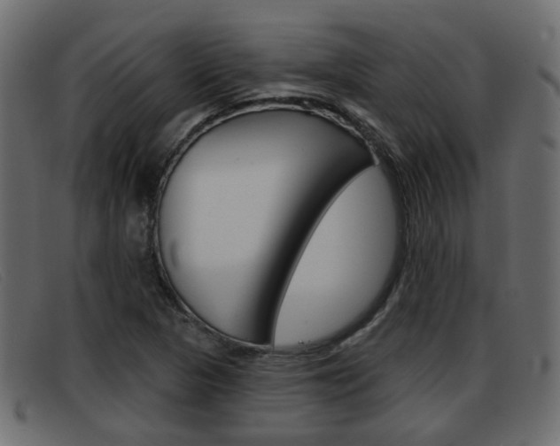 X0000093361313200710111301