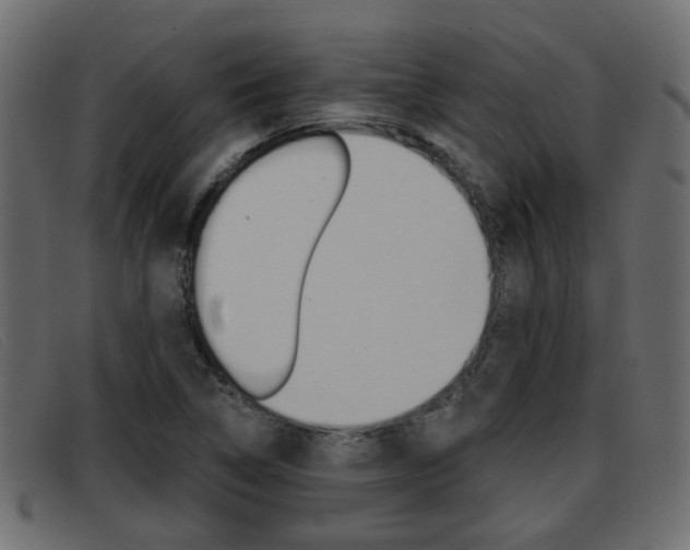 X0000093361314200710111301