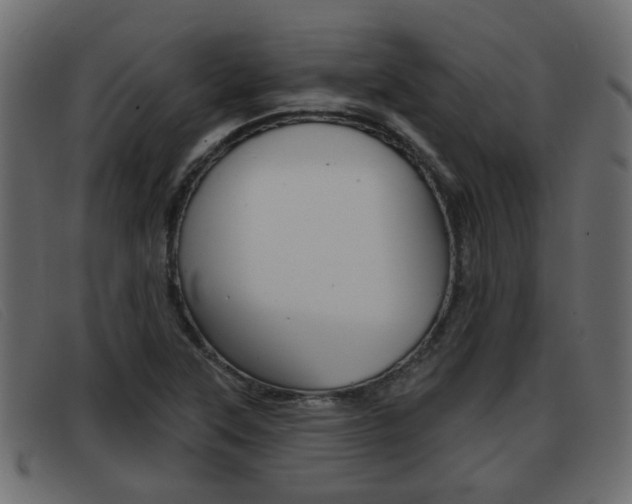 X0000093361315200710111301