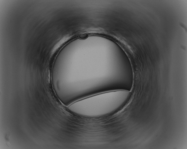 X0000093361317200710111301