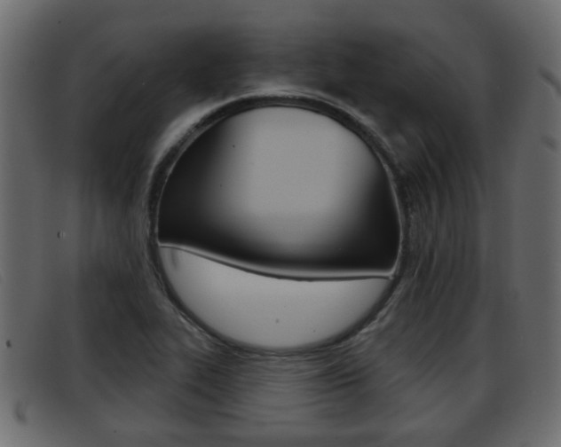 X0000093361319200710111301