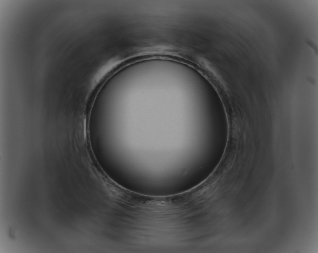 X0000093361320200710111301