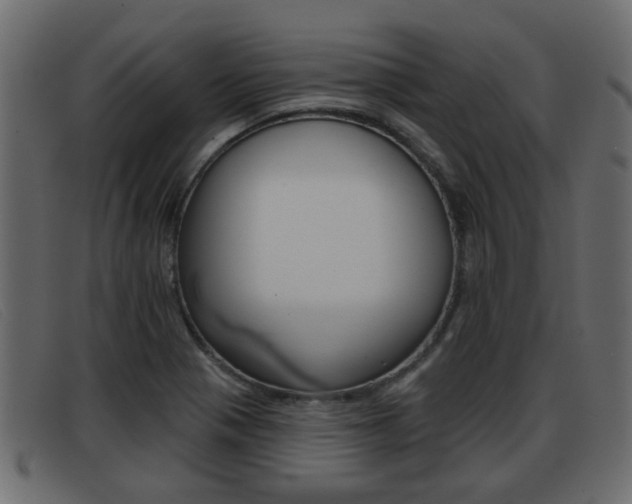 X0000093361321200710111301