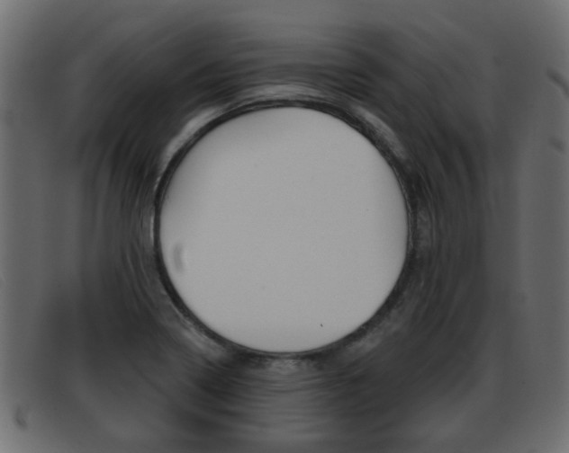 X0000093361322200710111301