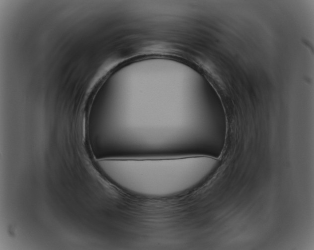X0000093361323200710111301