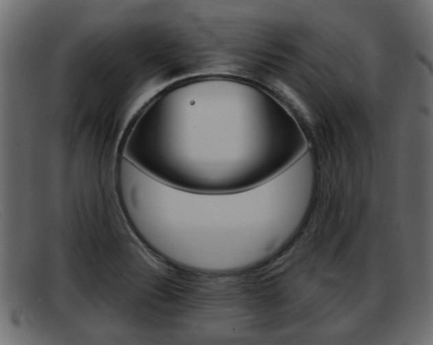 X0000093361324200710111301