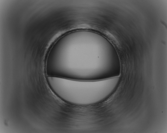 X0000093361326200710111301