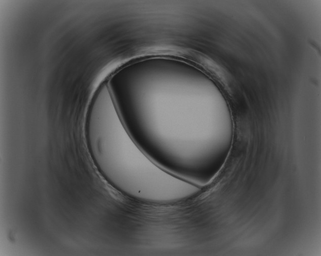 X0000093361328200710111301