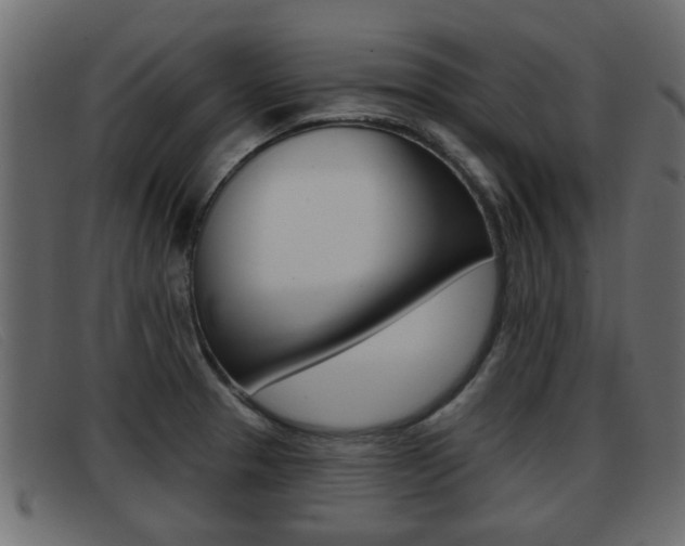 X0000093361329200710111301