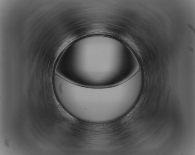 X0000093361330200710111301