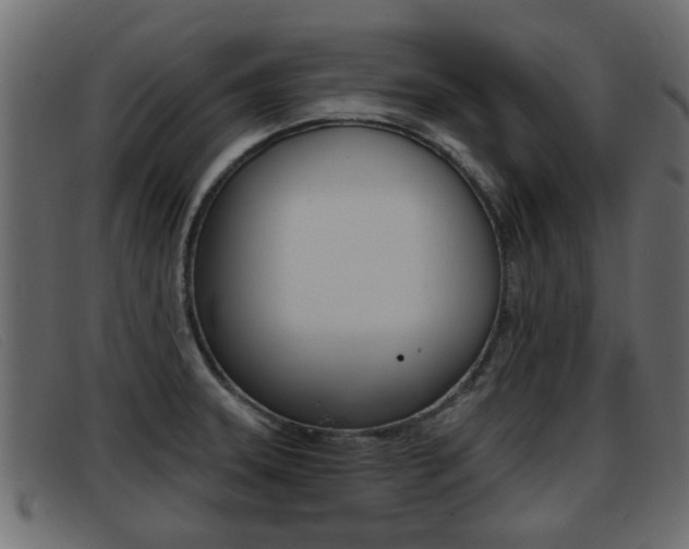 X0000093361331200710111301
