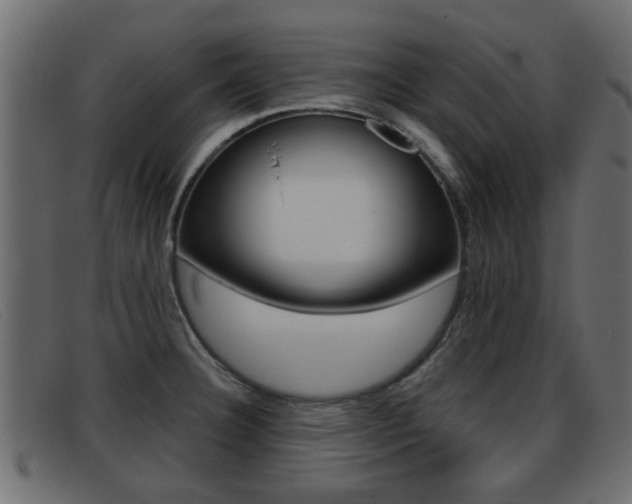 X0000093361332200710111301