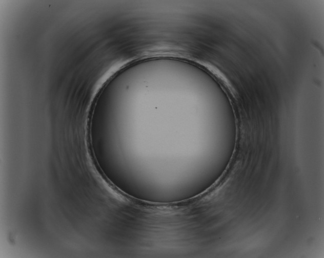 X0000093361333200710111301