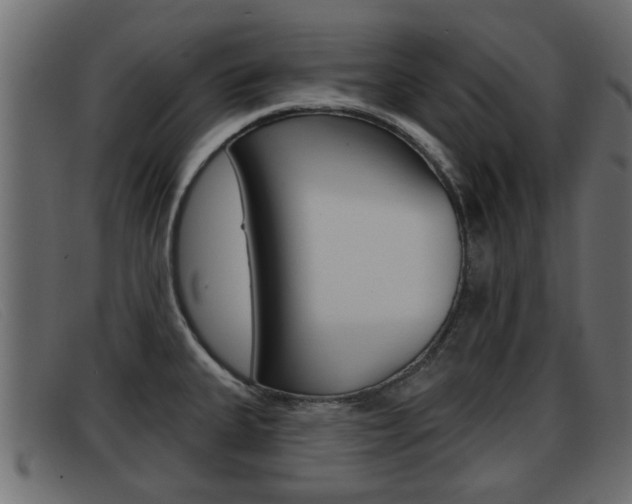 X0000093361335200710111301