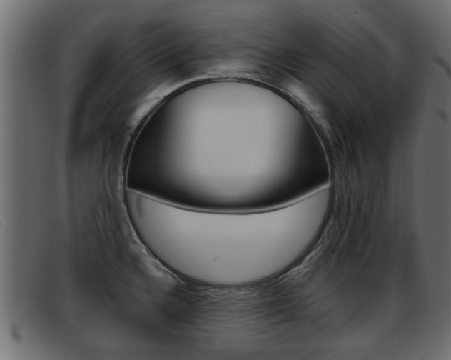 X0000093361336200710111301