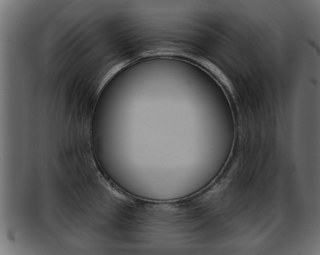X0000093361337200710111301