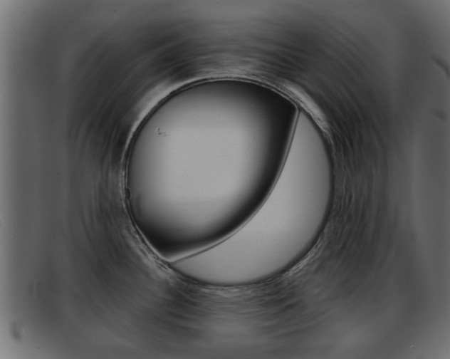 X0000093361340200710111301