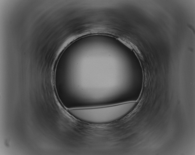 X0000093361342200710111301
