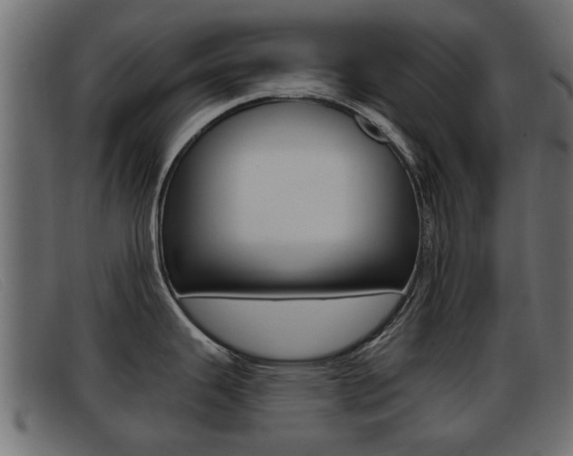 X0000093361343200710111301