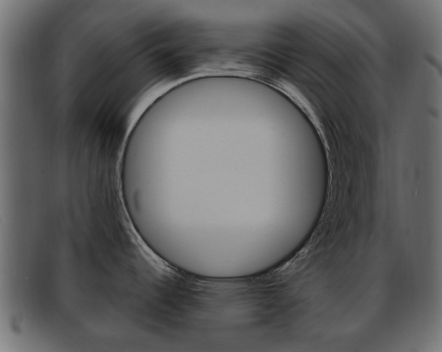 X0000093361344200710111301