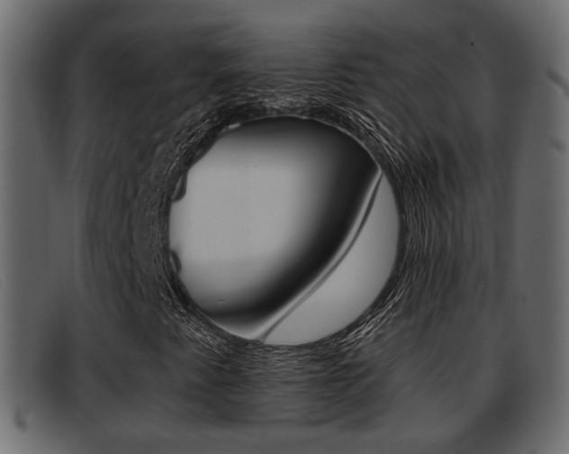 X0000093361345200710111301