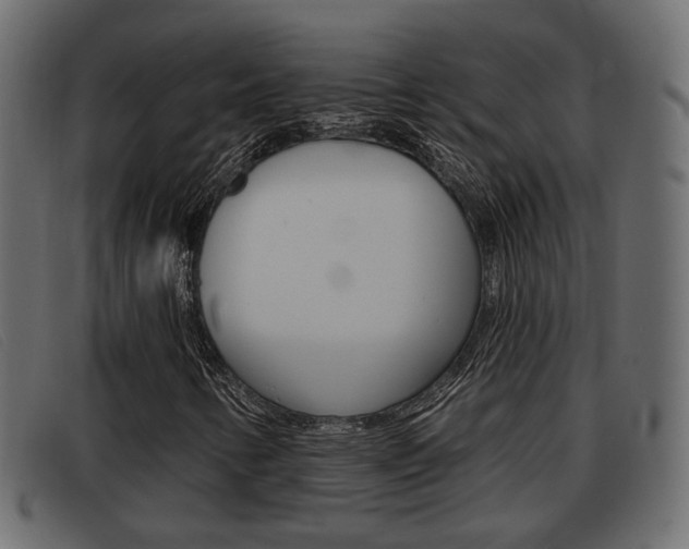 X0000093361346200710111301