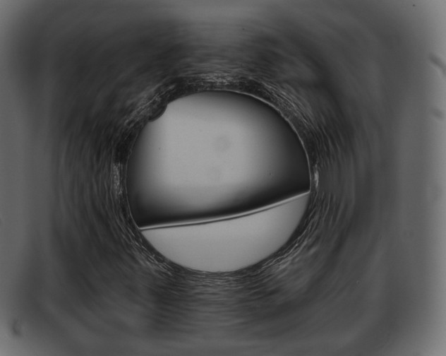 X0000093361347200710111301