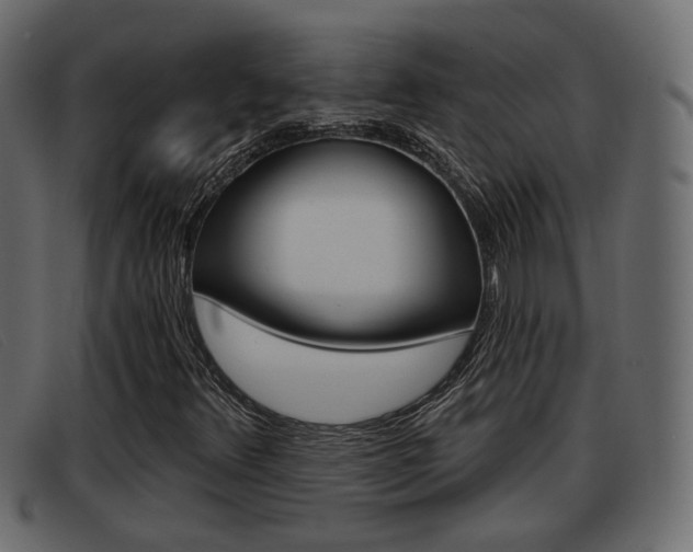 X0000093361348200710111301