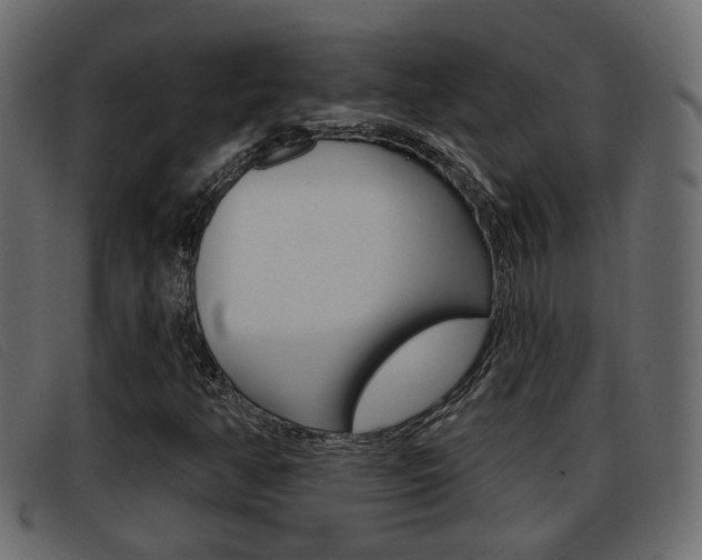 X0000093361350200710111301