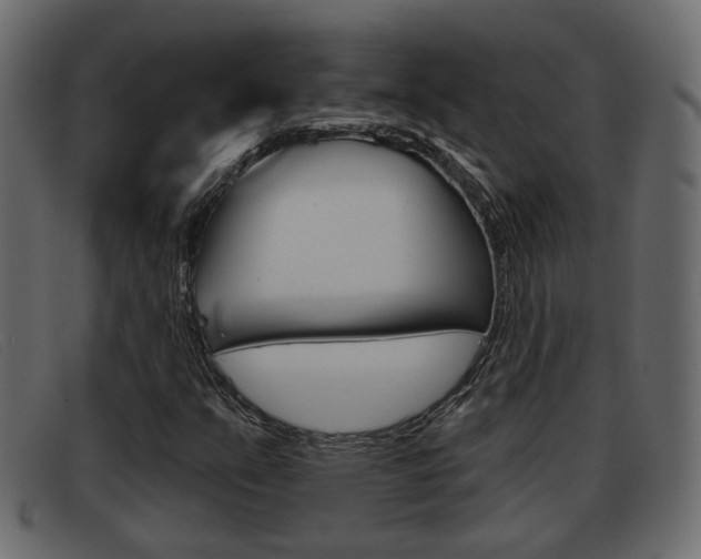 X0000093361351200710111301