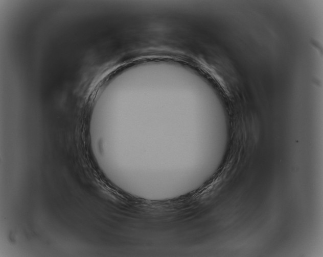 X0000093361352200710111301