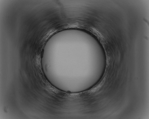 X0000093361353200710111301