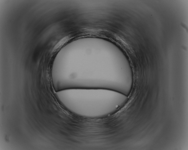 X0000093361354200710111301