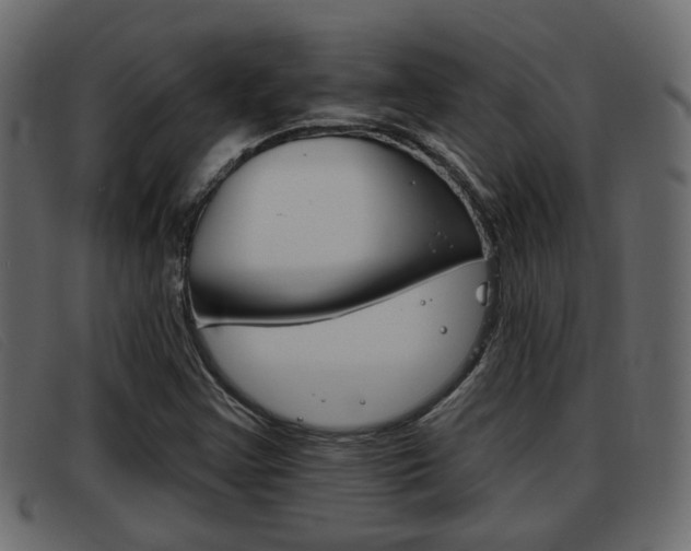 X0000093361355200710111301