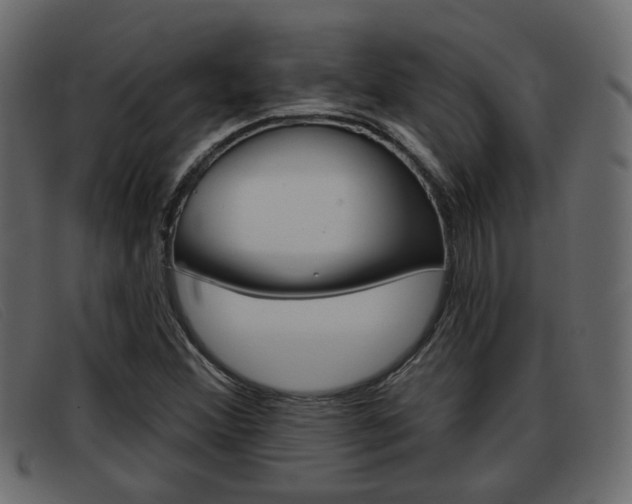 X0000093361356200710111301