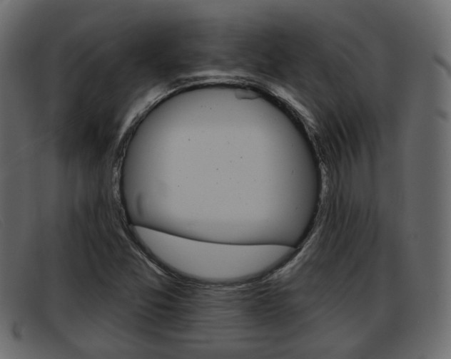 X0000093361357200710111301