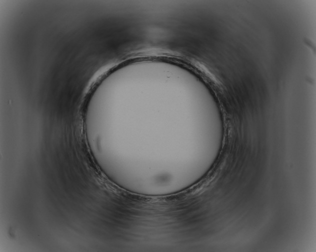X0000093361358200710111301